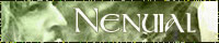 200 x  40
